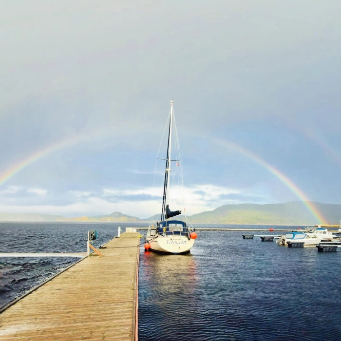 An image of an instagram story.